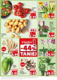 Kaufland gazetka Strona 15