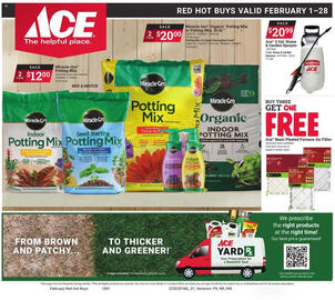 Ace Hardware Weekly Ad Page 1