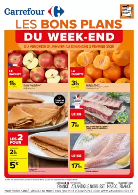 Catalogue Carrefour (valable jusqu'au 2-02)