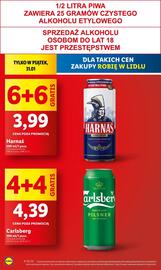 Lidl gazetka Strona 10