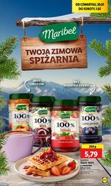 Lidl gazetka Strona 49