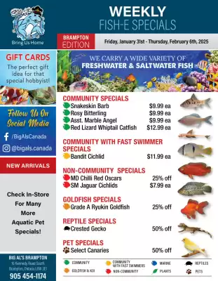 Big Al&#x27;s Pets flyer (valid until 3-02)