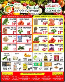 Mega Sanjha Punjab Grocery Store flyer Page 1