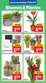 Lidl folder Pagina 13