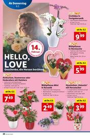 Lidl Flugblatt woche 6 Seite 21