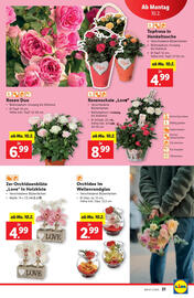 Lidl Flugblatt woche 6 Seite 21