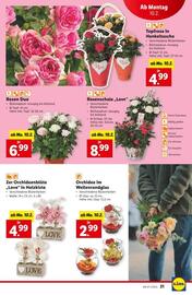 Lidl Flugblatt woche 6 Seite 22