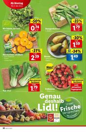 Lidl Flugblatt woche 6 Seite 33