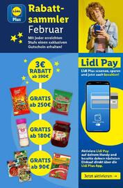 Lidl Flugblatt woche 6 Seite 40