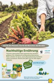 Lidl Flugblatt woche 6 Seite 42