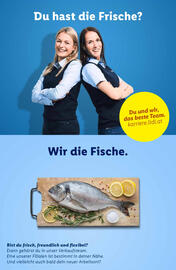 Lidl Flugblatt woche 6 Seite 42