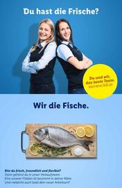 Lidl Flugblatt woche 6 Seite 43