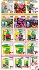 CENTERSHOP Prospekt woche 6 Seite 3