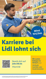 Lidl Prospekt woche 6 Seite 53