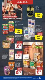 Aldi Süd Prospekt woche 8 Seite 21