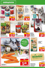 Edeka Herkules Prospekt woche 6 Seite 4