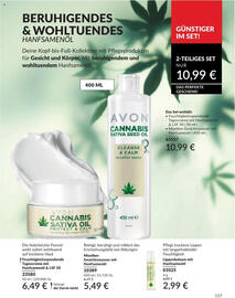 Avon Prospekt Seite 117