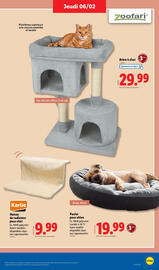 Catalogue Lidl page 29