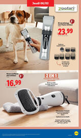 Catalogue Lidl page 31