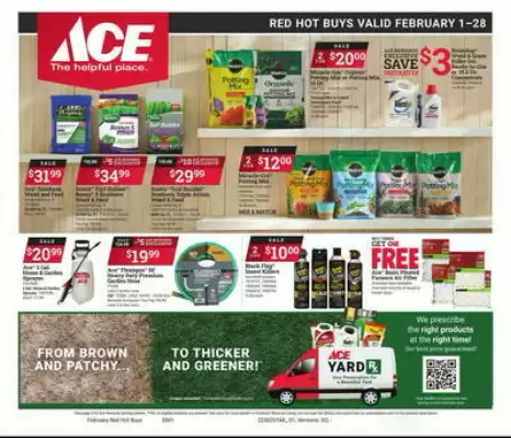 Ace Hardware Weekly Ad (valid until 28-02)