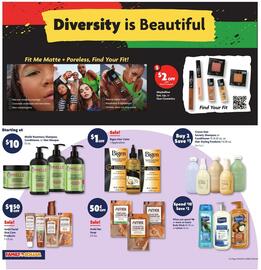 Family Dollar Weekly Ad week 6 Page 13