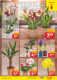 Netto Marken-Discount Prospekt Seite 23