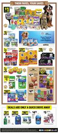 Dollar General Weekly Ad week 6 Page 11