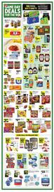 Dollar General Weekly Ad week 6 Page 2