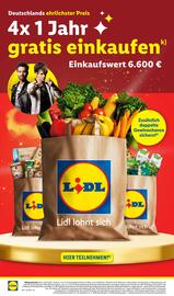 Lidl Prospekt woche 7 Seite 58