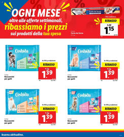 Volantino Lidl Pagina 13