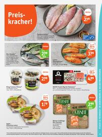 basic Prospekt woche 6 Seite 11