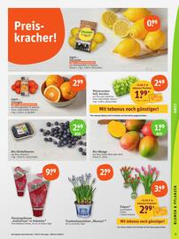 basic Prospekt woche 6 Seite 5