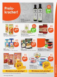 basic Prospekt woche 6 Seite 17