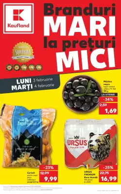 Catalog Kaufland (valid până la 4-02)