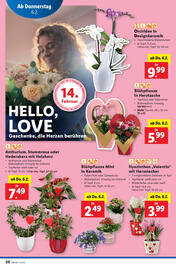 Lidl Flugblatt woche 6 Seite 20