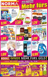 Norma Flugblatt woche 7 Seite 6