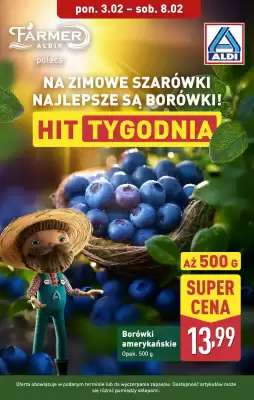 ALDI gazetka (ważność do 8-02)