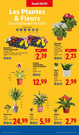 Catalogue Lidl semaine 6 page 35