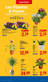 Catalogue Lidl semaine 6 page 35