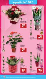 Catalogue ALDI semaine 7 page 37