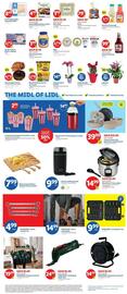 Lidl Weekly Ad week 6 Page 3