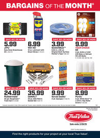 True Value Weekly Ad Page 1