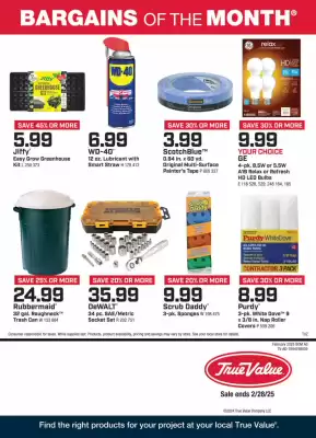 True Value Weekly Ad (valid until 28-02)