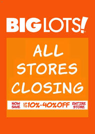 Big Lots Weekly Ad Page 1