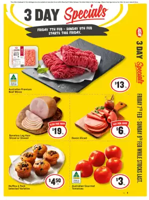 IGA catalogue (valid until 9-02)