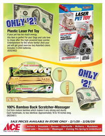 Ace Hardware Weekly Ad Page 11