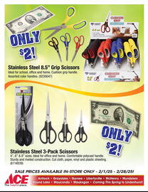 Ace Hardware Weekly Ad Page 7