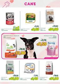 Volantino Majestic Pet's Pagina 3