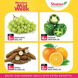 Shaklan catalogue Page 2