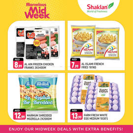 Shaklan catalogue Page 3